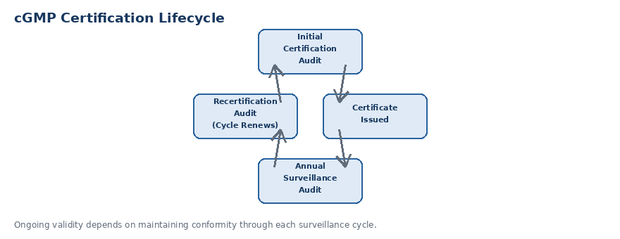 cGMP certification lifecycle diagram for Bahrain — initial certification audit, certificate issued, annual surveillance audit, recertification audit, cycle renews