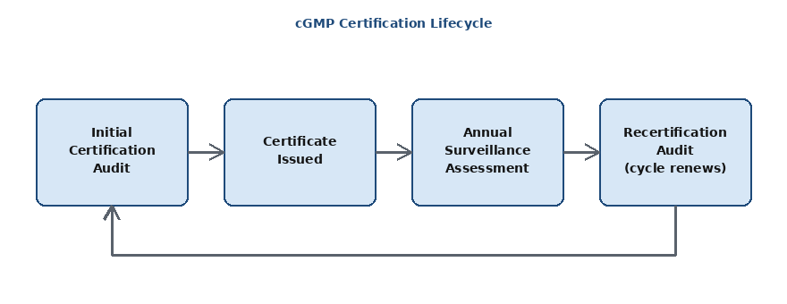 Diagram of the cGMP certification lifecycle in Oman: initial audit, certificate issued, annual surveillance, recertification