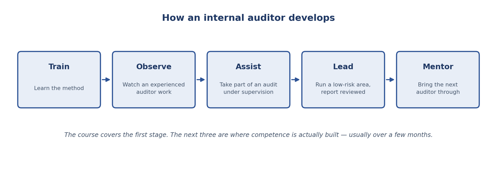 Internal auditor development path — train, observe, assist, lead, mentor