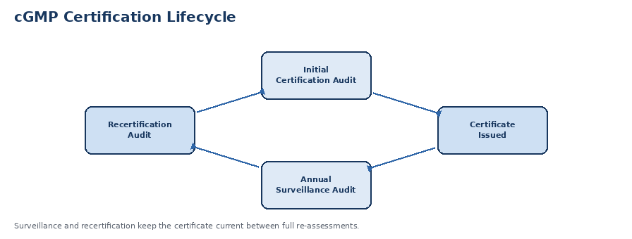 The cGMP certification lifecycle, from initial audit through surveillance to recertification